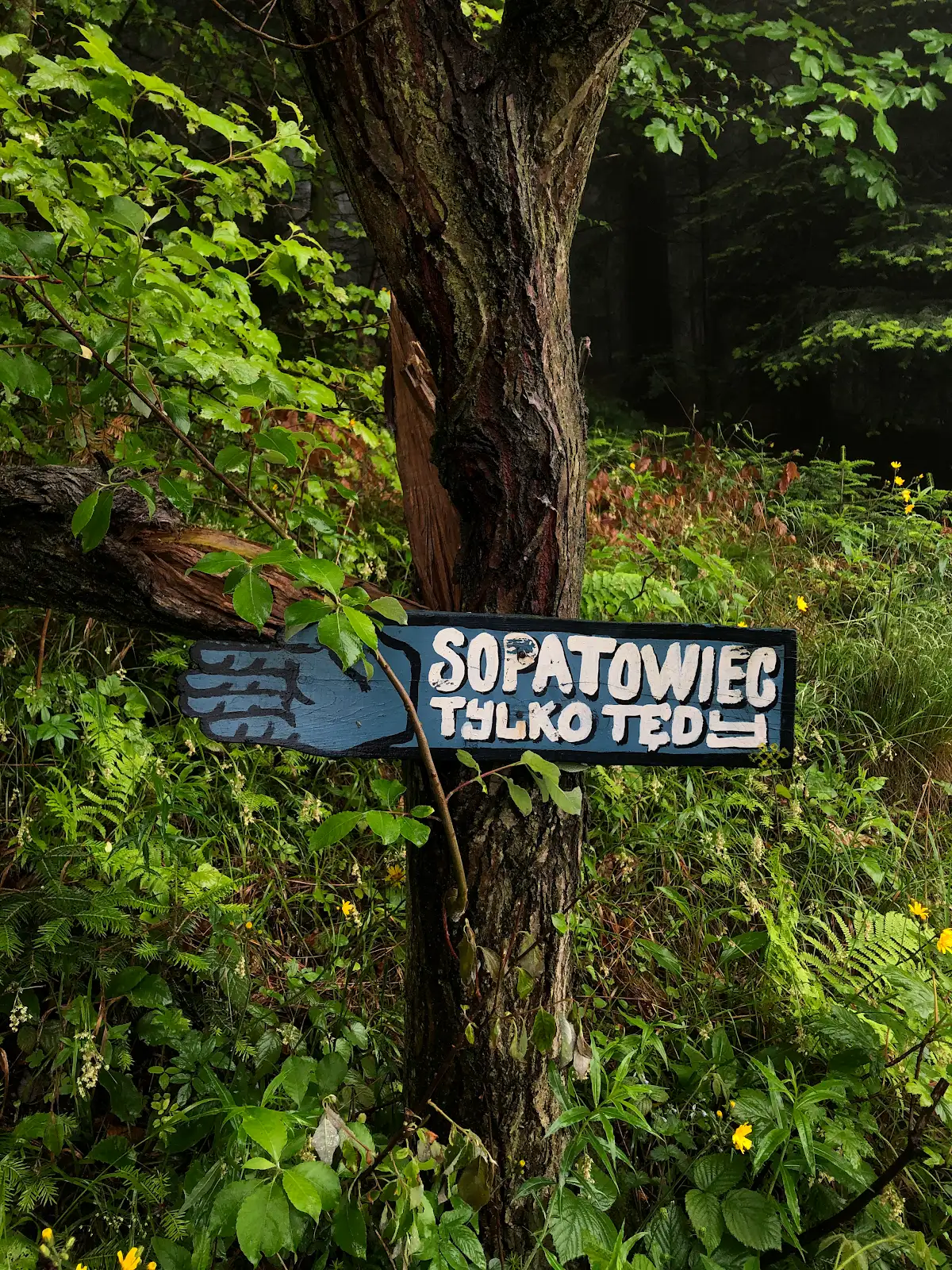 Zdjęcie z materiałów do podcastu Wolne Ścieżki